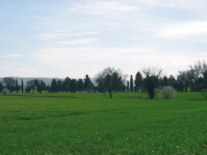 campagna.jpg