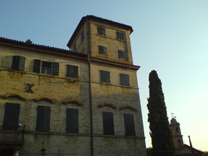 dsc00502.jpg