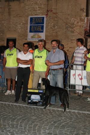 cani_monsano_18_luglio2009_102