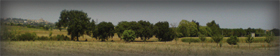 dsc00192_1_-_1.jpg