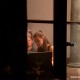 IMG 3226