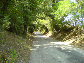 dsc00159_1_-_1.jpg