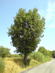 dsc00167_1_-_1.jpg