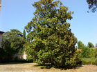 dsc00307.jpg