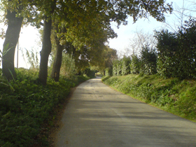 dsc00314_1.jpg