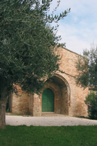img_4796_piccolina_foto_di_matteo_catani.jpg